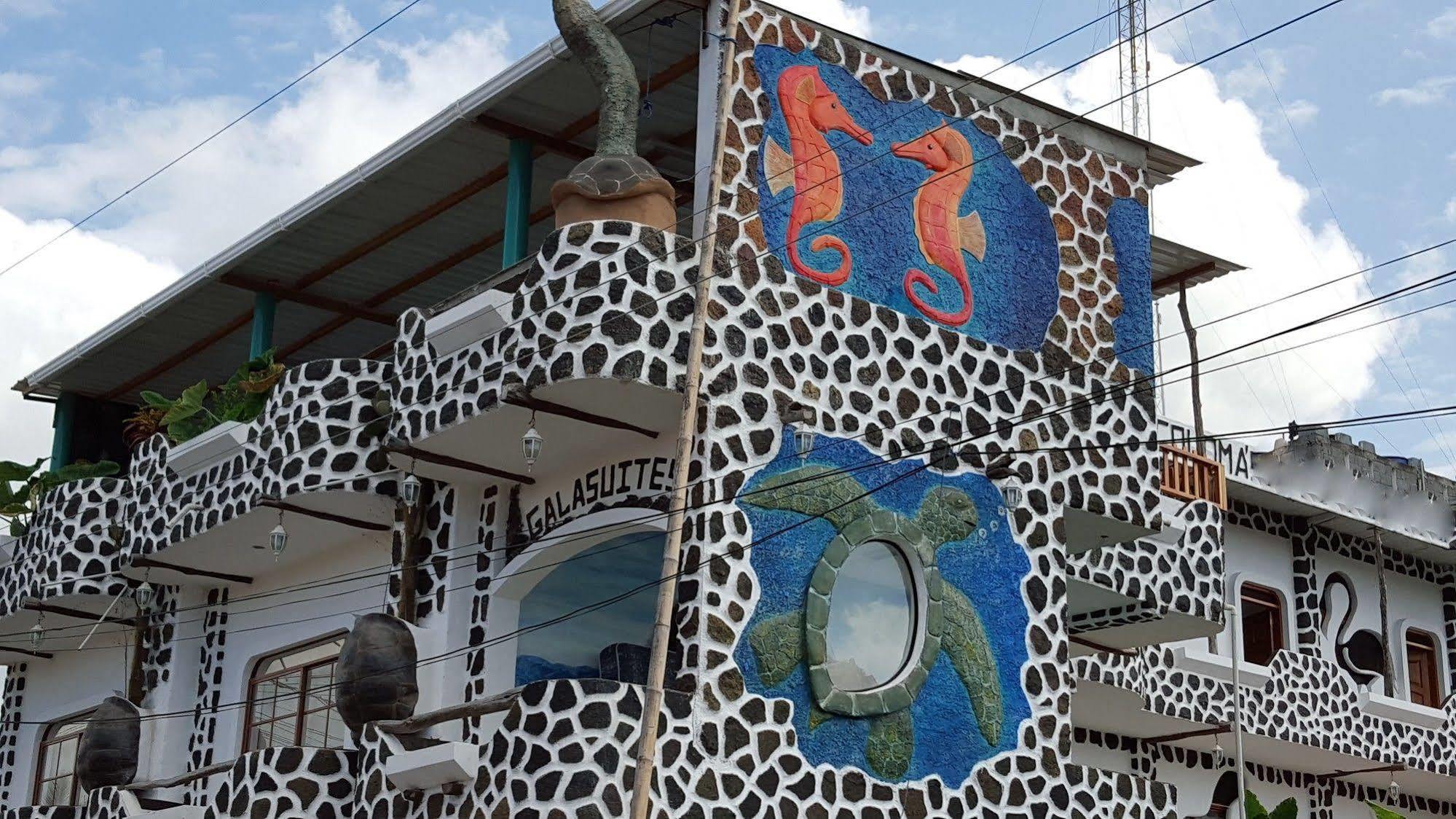 Hotel Coloma Galapagos Пуерто-Айора Екстер'єр фото
